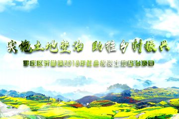 临沂市罗庄区沂堂镇社会投资土地整治项目