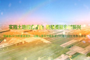 郯城县土地整治项目